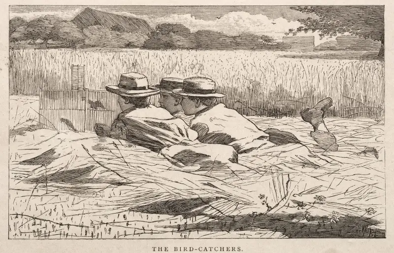 The Bird Catchers av Winslow Homer