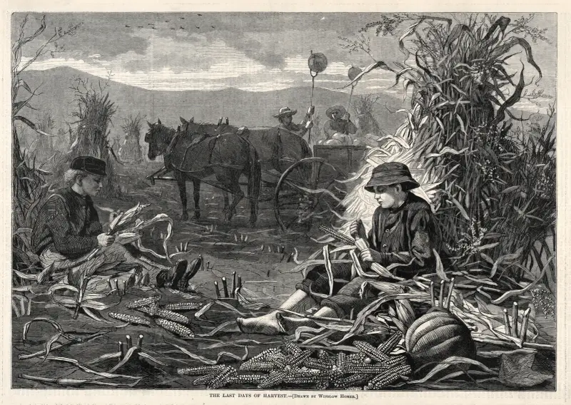 The Last Days of Harvest av Winslow Homer