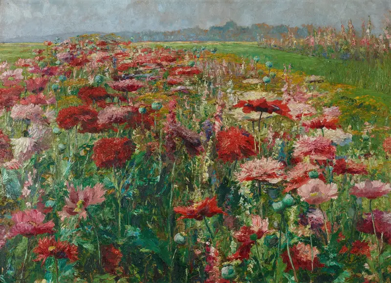 Blühender Mohn von Olga Wisinger-Florian