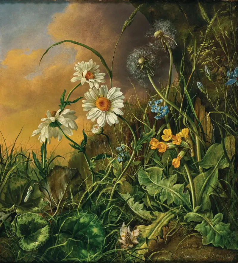 A Forest Floor with Daisies, Primroses and Dandelions av Franz Xaver Petter