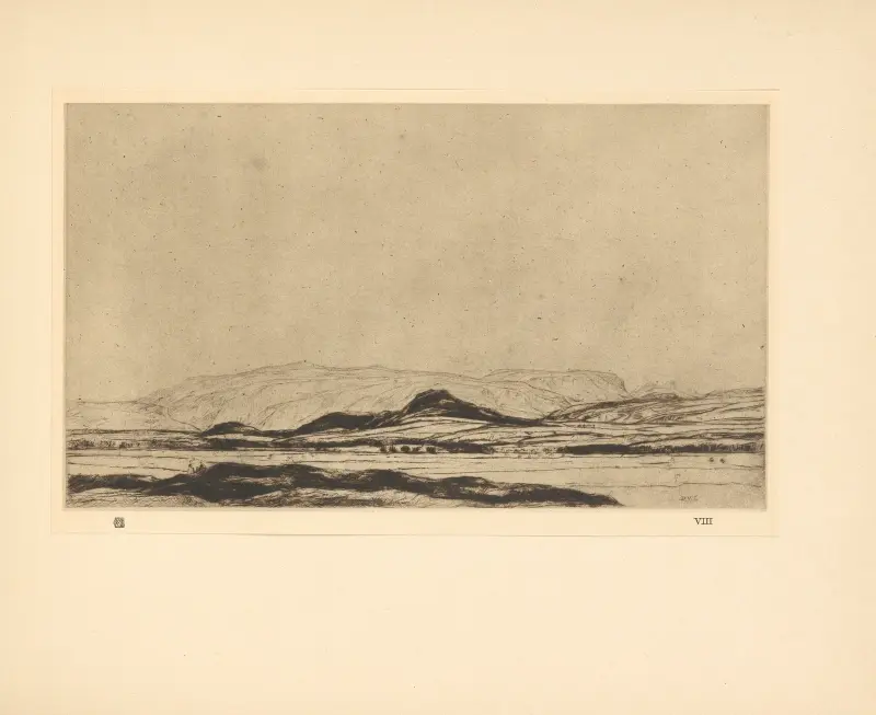 Dinnet Moor von David Young Cameron