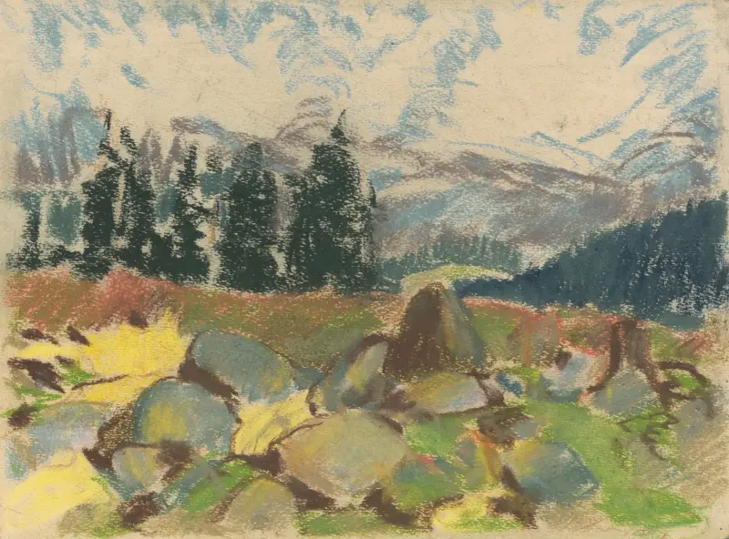 Sommardag på klippig skogsglänta av Zolo Palugyay