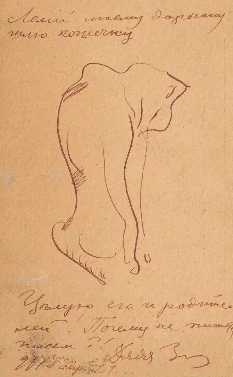 Kätzchen von Zygmunt Waliszewski
